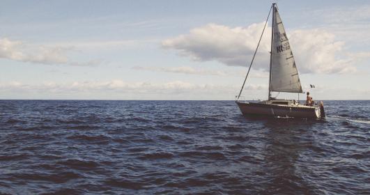 菠萝菠萝蜜视频在线观看 免费大全